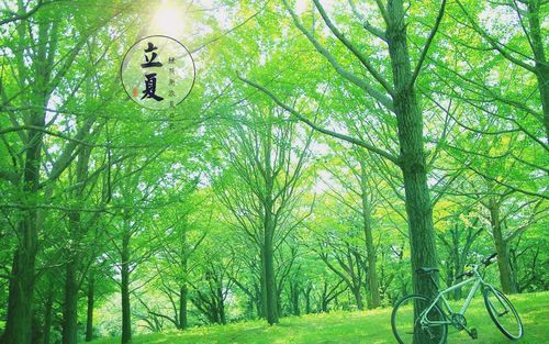 《立夏》作者:芦国柱（江苏）主播:丹桂【桃源国际诗歌集团】用声音传递温暖以诵读致敬人生♬（图5）