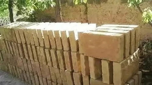 几枝蕙草正芳舒 文/潘之江 诗/潘毅(图2)