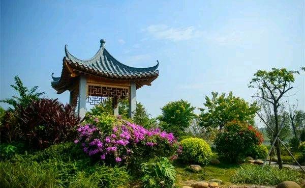《打死，都不说出雅亭的位置》作者:天问‖主播:铁魂【桃源国际诗歌集团】用声音传递温暖以诵读致敬人生♬（图6）