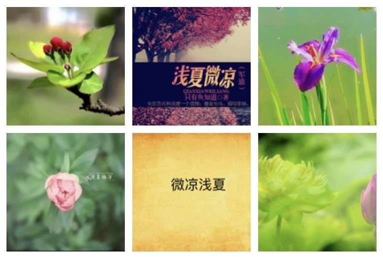 【如梦令·浅夏微凉】文/风鸽（张晓峰）【冰心文化传媒】（图3）