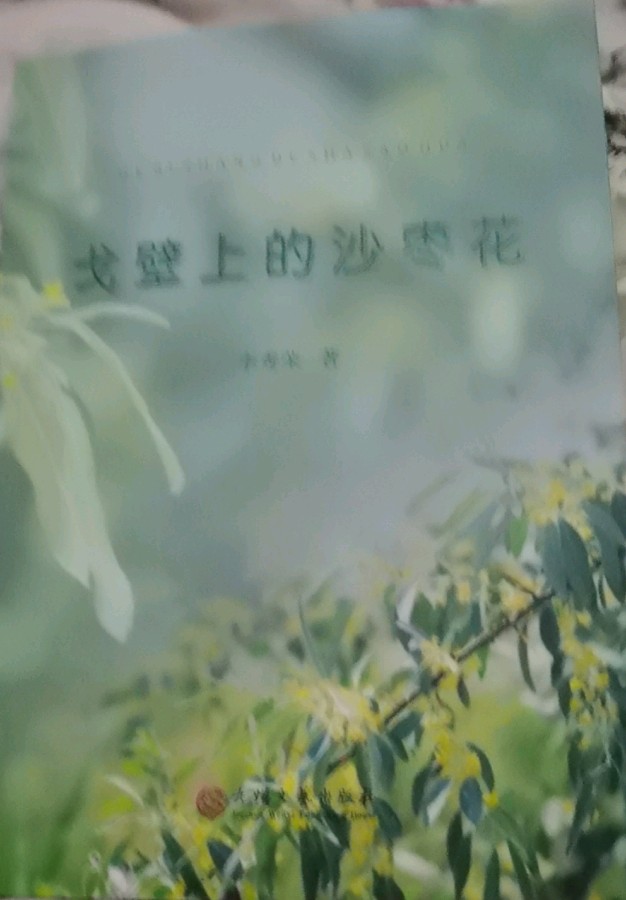 *不作为* 文/无言〔新疆〕【冰心文化传媒】（图3）