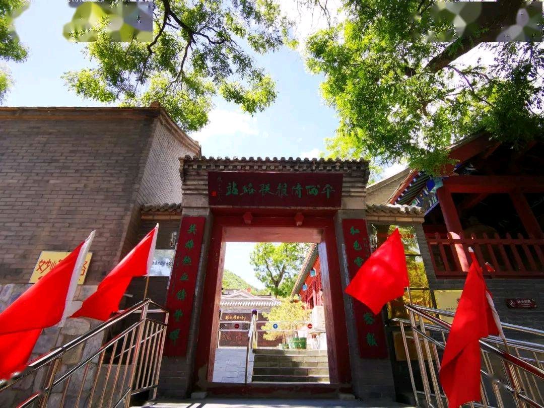 菊花朗诵【参观平西情报站有感】作者/冯玉（图9）