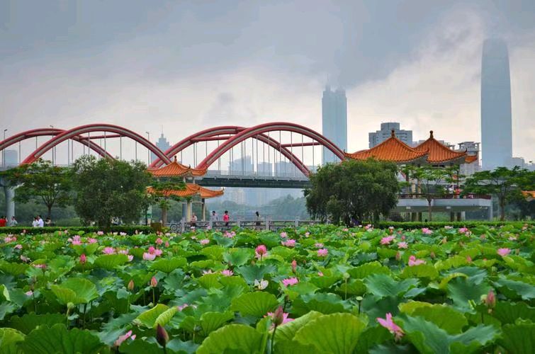 七律·夏日深圳洪湖 隆光诚（广西南宁）【冰心文化传媒】（图6）