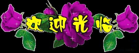 【✍锦园·随記】X（图13）