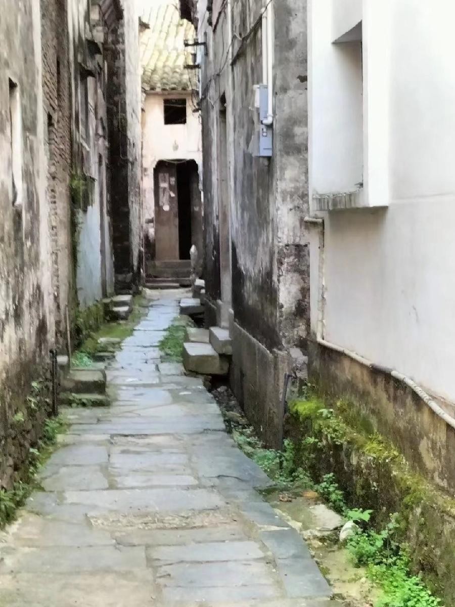 《九江文学社：有声文学》《五月的思念》文/洪新爱 精英主播/上善若水【总第1608期】（图8）