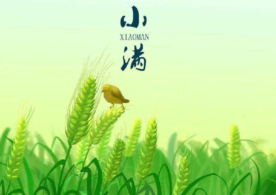 【新诗大观】小满未满||文/金义(河北)
