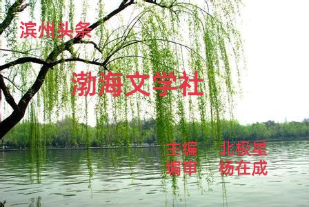 《 关 于 母 亲 的 诗 》文/ 易 之 中