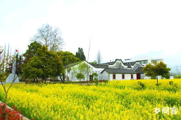 扬帆梅蓉—— 文/李亚范(杭州)——【中华诗词】征稿——都市头条(图5)