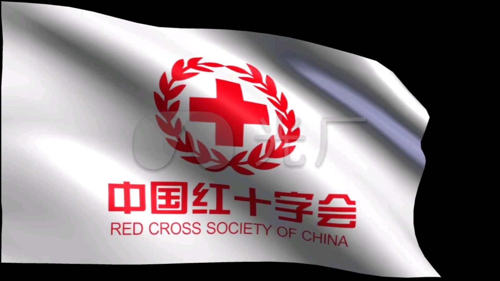 希望之光 ‖ 【志愿者之歌】作者/朗诵/雅茹（图2）