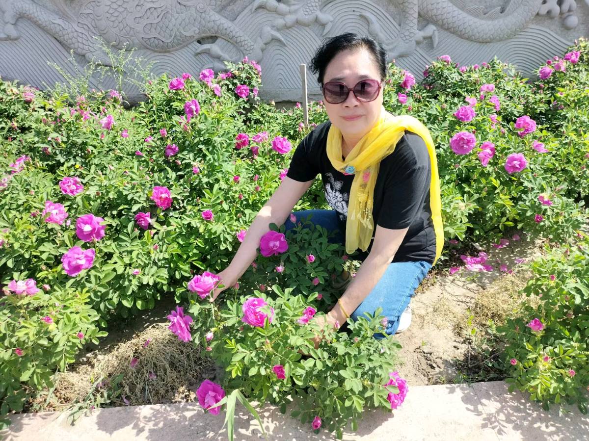 诗人于金奎（宁夏石嘴山）七律·漫步奇石山牡丹园（上平十灰)（图13）