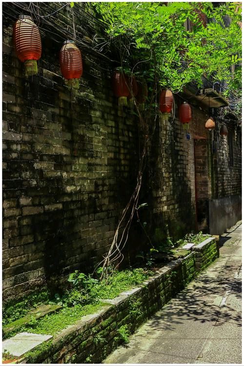 《小洲上村的青春卡片》作者:石沉‖主播:涛声依旧【桃源国际诗歌集团】用声音传递温暖以诵读致敬人生♬（图5）