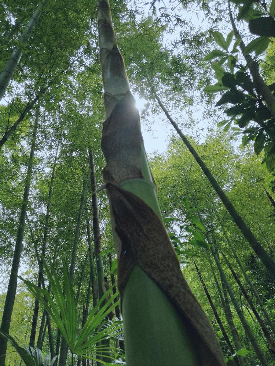 孟国泰与边国玺（4）：为人师表的真正含义