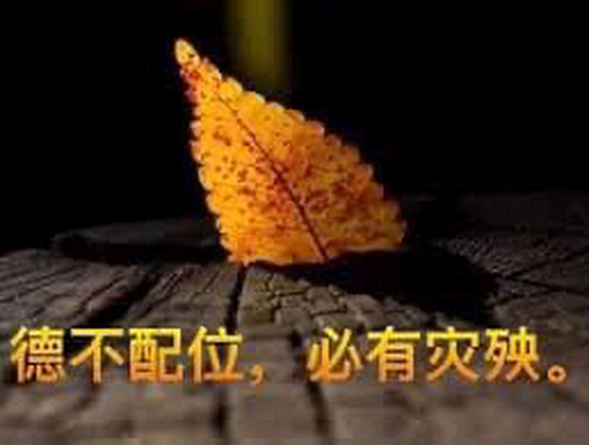 德不配位推责龟~诗║李耀文(图13)