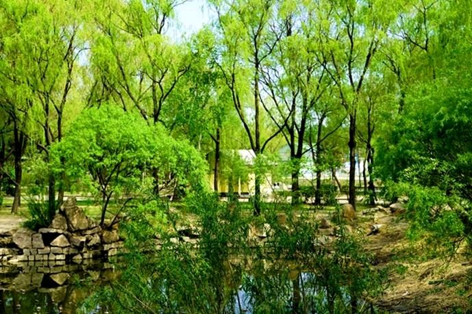 《遣兴系列》400——420‖作者:赵逢春（zfc)【桃源国际诗歌集团】桃源＊古韵（图6）