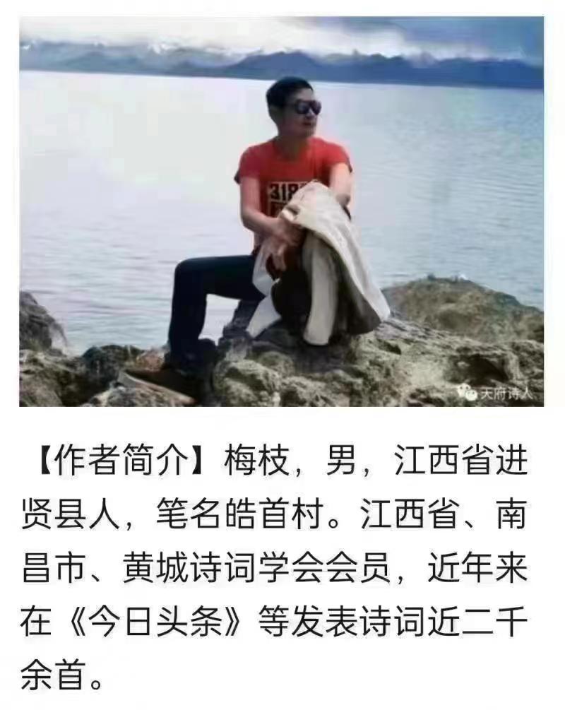 新荷（外两首）梅枝（江西南昌）（图4）
