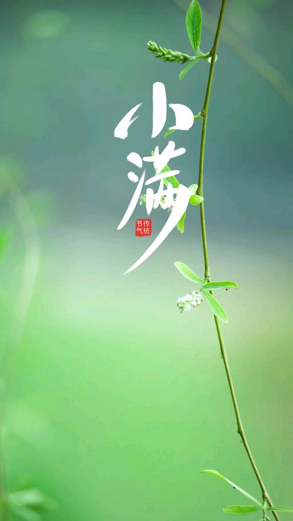 牛丽君朗诵【二十四节气系列小知识*小满】文字整理/牛丽君（图3）