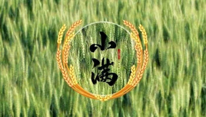 牛丽君朗诵【二十四节气系列小知识*小满】文字整理/牛丽君（图5）