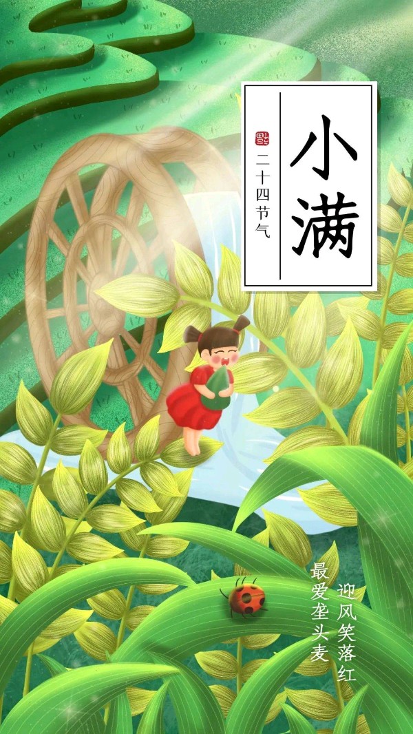 牛丽君朗诵【二十四节气系列小知识*小满】文字整理/牛丽君（图7）