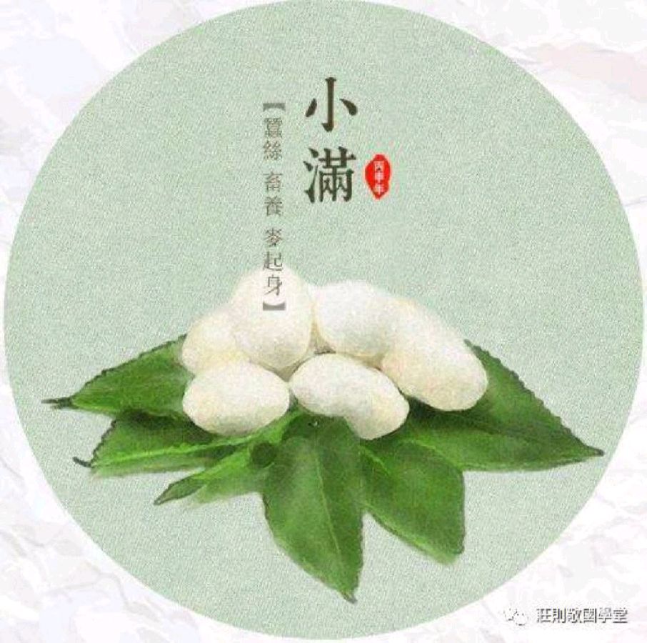 牛丽君朗诵【二十四节气系列小知识*小满】文字整理/牛丽君（图6）