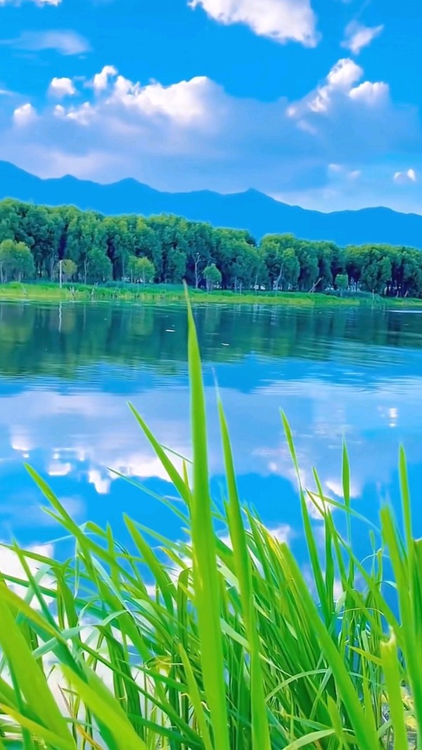 瘟疫又来游荡~诗║王凤荣(图11)