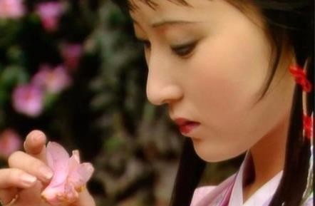 《红楼梦》系列之八十五组《红楼撷英》10首）《平水韵》孙春红 〔山东〕【冰心文化传媒】（图8）