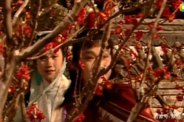 《红楼梦》系列之八十五组《红楼撷英》10首）《平水韵》孙春红 〔山东〕【冰心文化传媒】（图24）