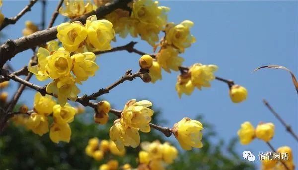 七绝：慧冥辞（图3）