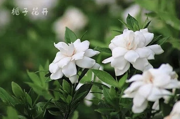 【新诗大观】溪水边（组诗）||文/代红杰（图5）