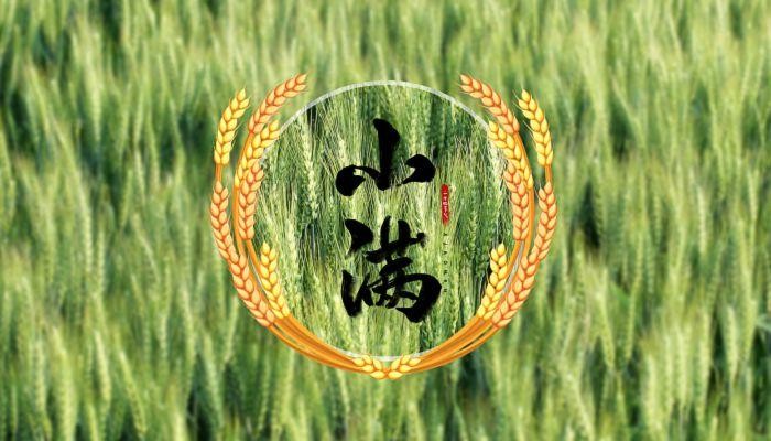 【经典推荐】王世华//小满节｛欣赏｝（图2）