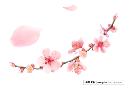 没情人的情人节——作者:夏日骄阳——【中华诗词】征稿——都市头条(图4)
