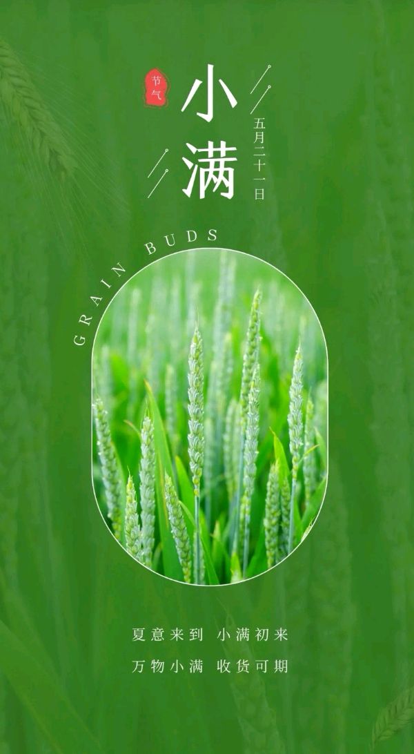 七律-小满时节～诗‖阳光（柏厚发）（图8）