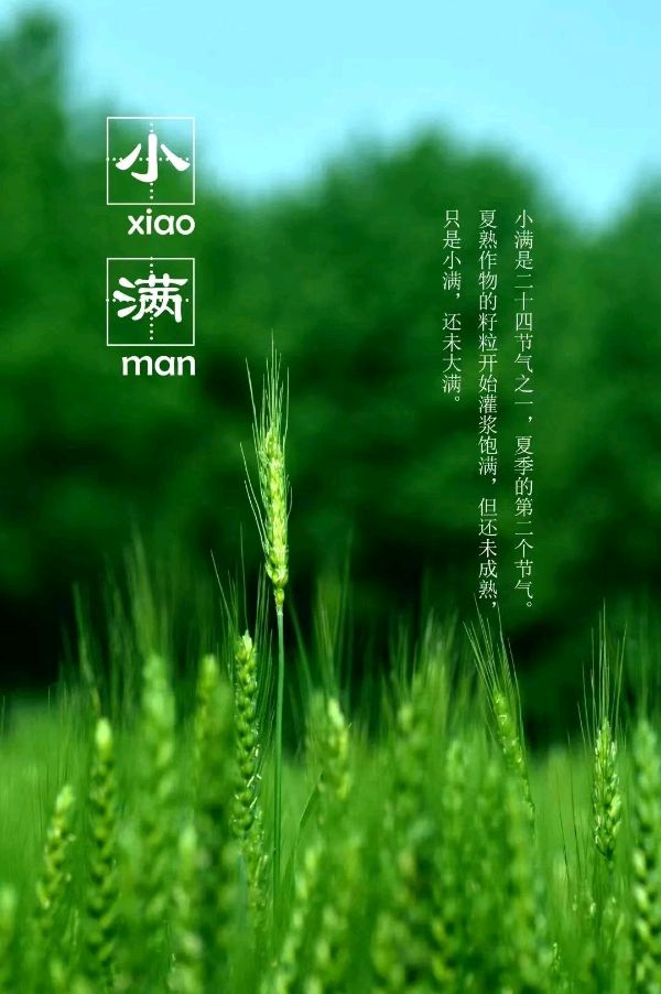 小满长安街 | 曹梦林