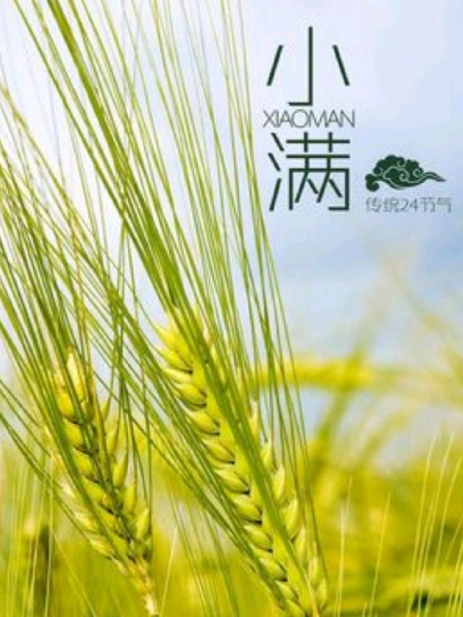 《九江文学社：有声文学》尹连荣先生佳作欣赏（组诗九首） 主播/紫薇【总第1626期】（图4）