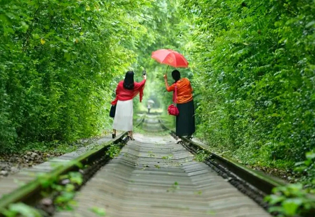 【华夏周刊】第142期合辑（图5）