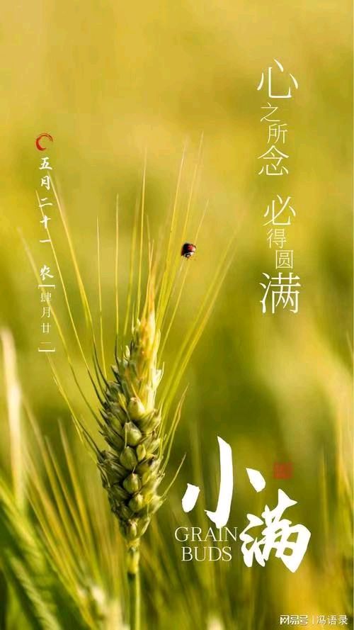 陈甲申的《临江仙•小满季节温多变》
