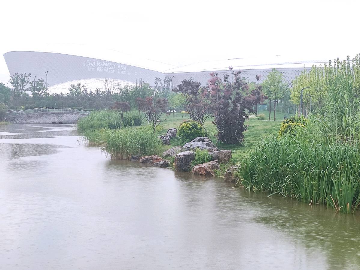 今新调 雨里漫步中央公园 原作/梁立锋（图8）