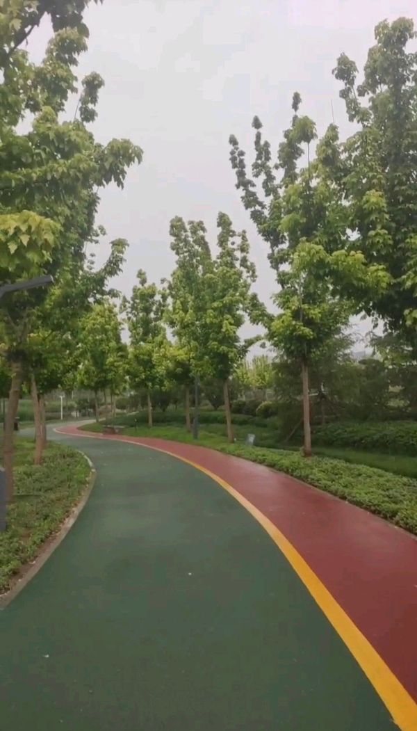 今新调 雨里漫步中央公园 原作/梁立锋（图4）