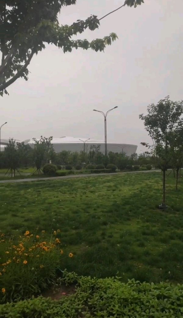 今新调 雨里漫步中央公园 原作/梁立锋（图3）