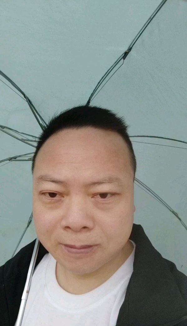 今新调 雨里漫步中央公园 原作/梁立锋（图10）