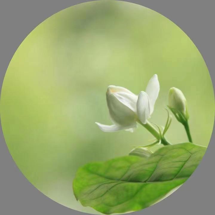 东方书剑的《沧浪楹联4.28闻香撷英》