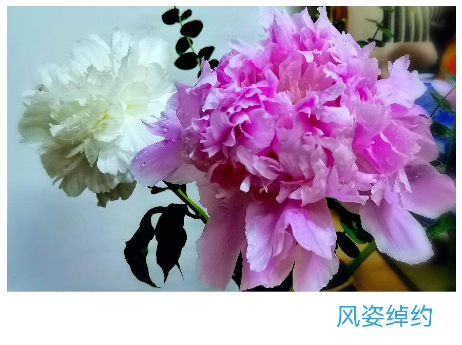 尼言诗选