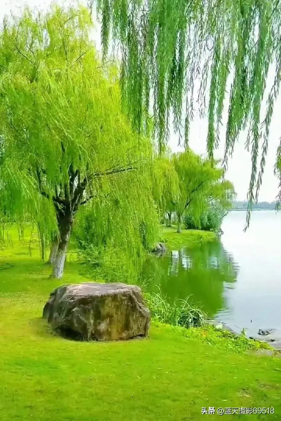 【小说精品】老崔的 绝招 文/唐雪梅(图3)