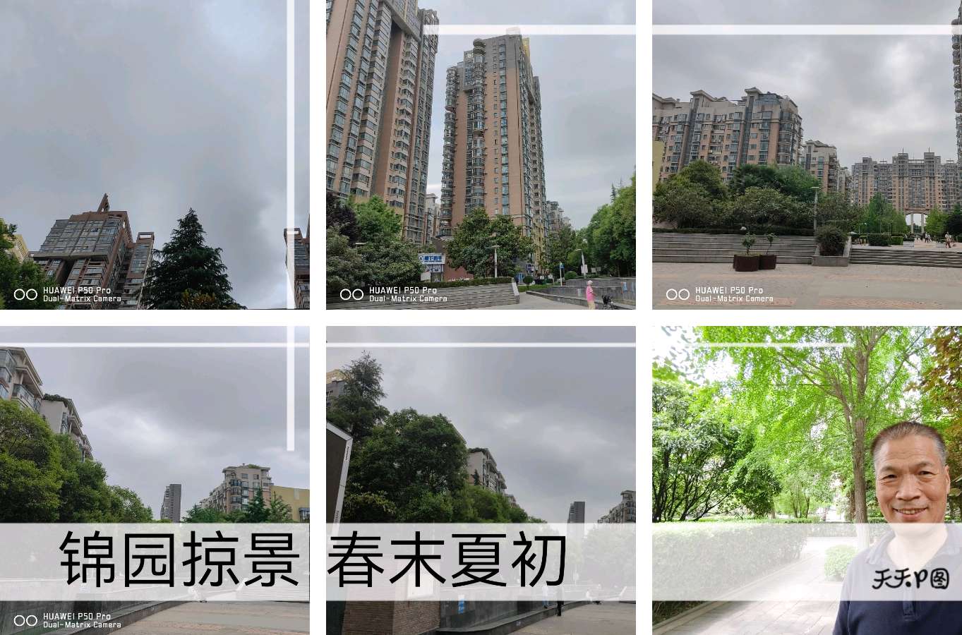 【✍锦园·随記】Y（图4）