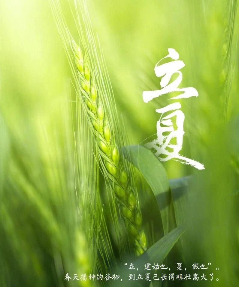 【神州源流诗苑】第951期优秀近体诗《都市头条》周刊(图3)