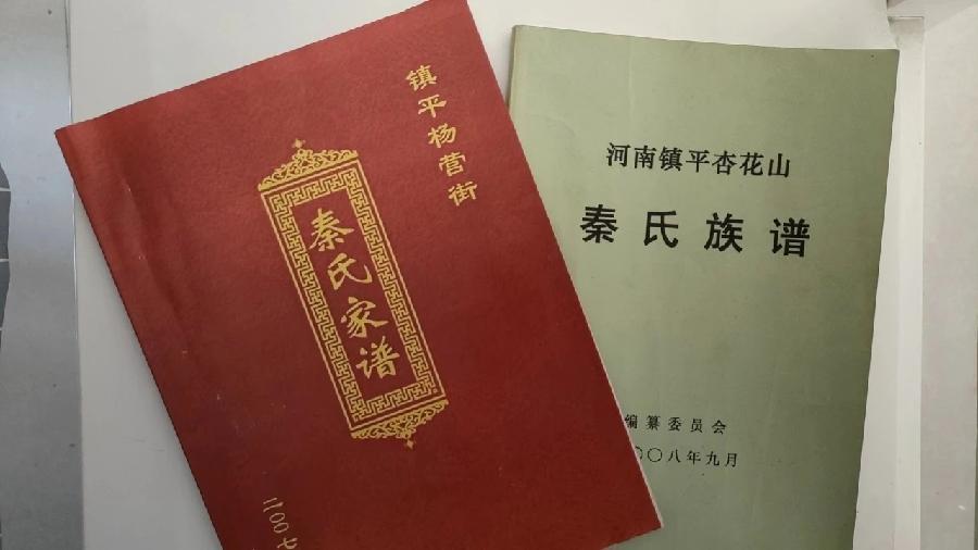 走南闯北不服输的临河人(图8)