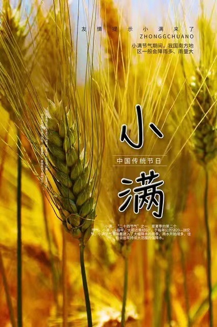 《小满人生境》文：代晓春【长安街总社】世界诗人名人展（10096）（图3）