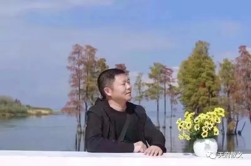 【星月诗社】||杨奇国：清河村组诗（外三首）—北京头条（图10）