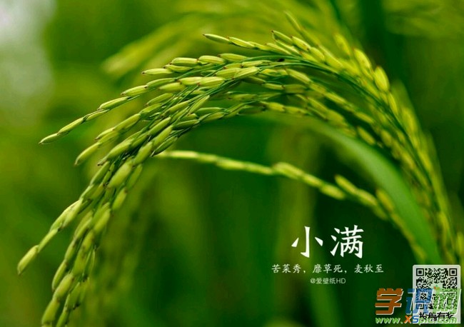 *诗词小辑* 作者 王香谷（悉尼）【冰心文化传媒】主编 冰心（图10）