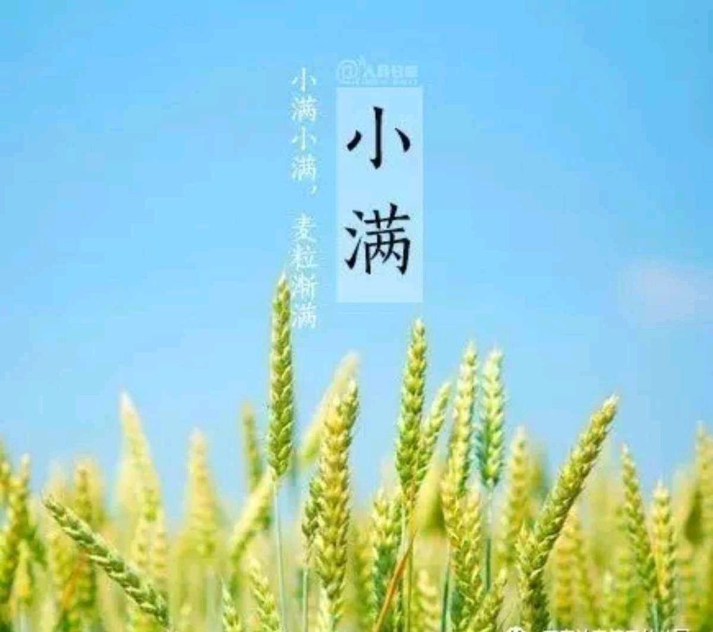*诗词小辑* 作者 王香谷（悉尼）【冰心文化传媒】主编 冰心（图9）