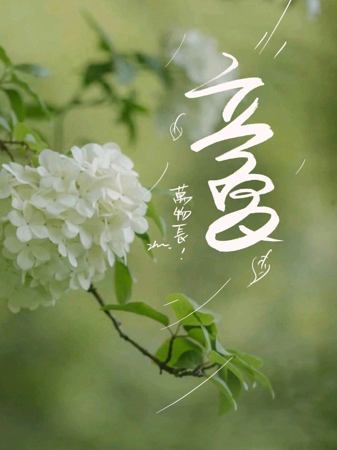 弘华朗诵【立夏】作者/姜太祥（图8）